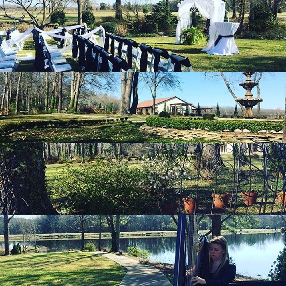 Videography & Photography